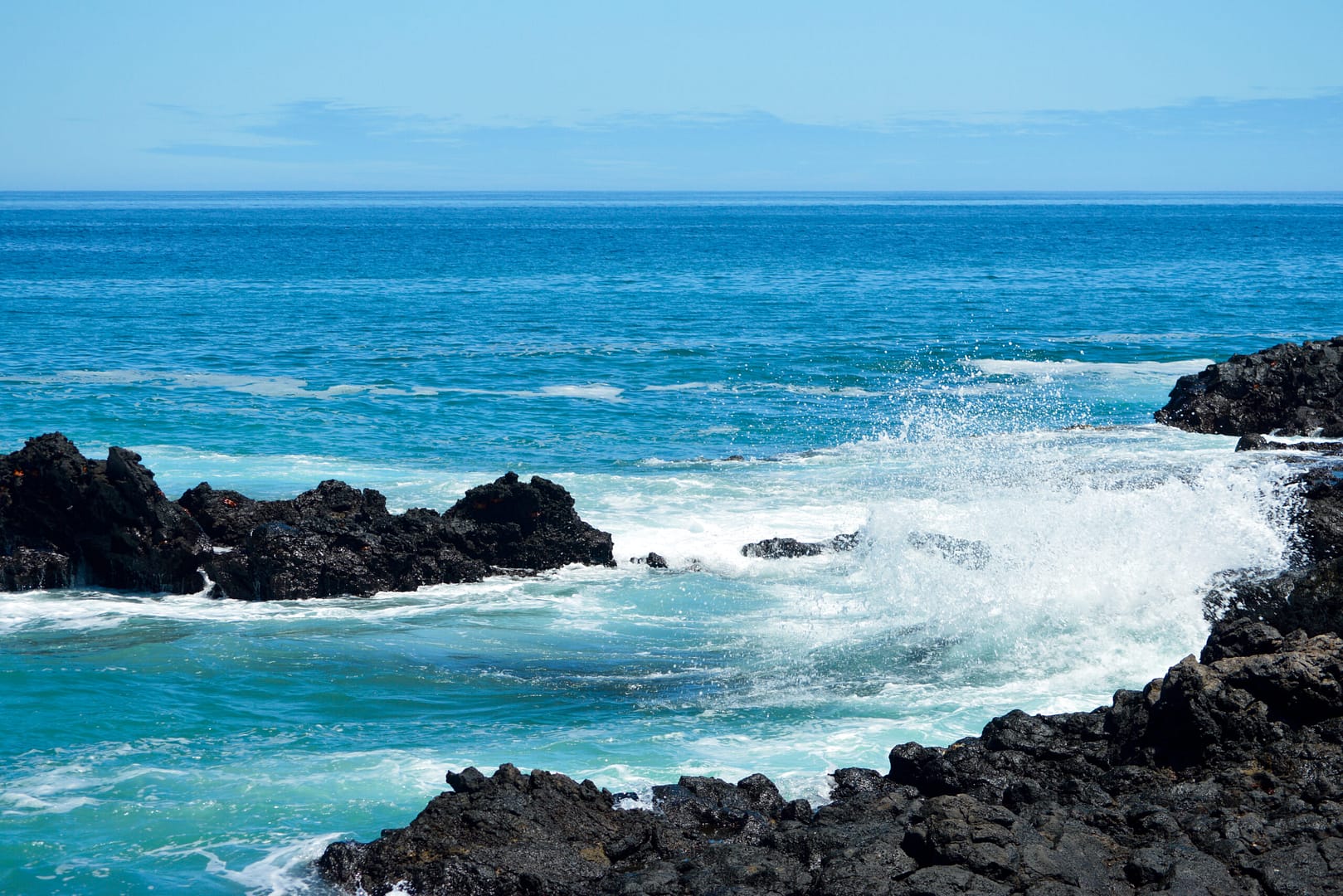 10 Faves from Galápagos: Horizons