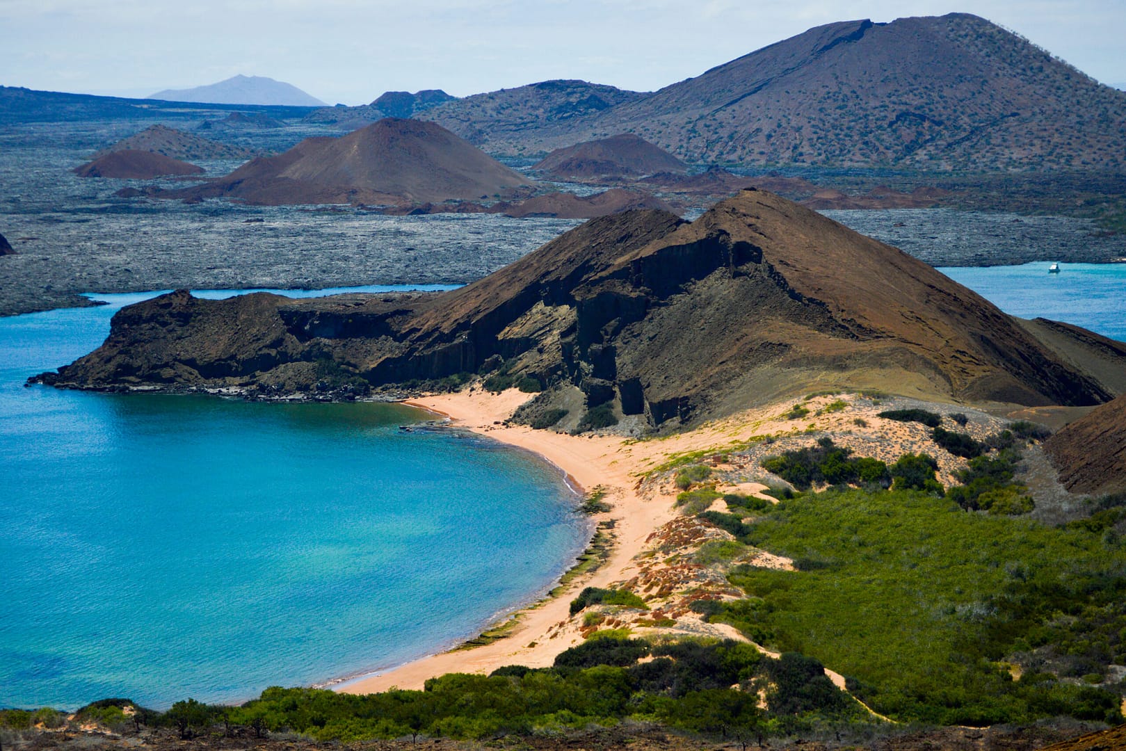 9 Faves from Galápagos: Vertical