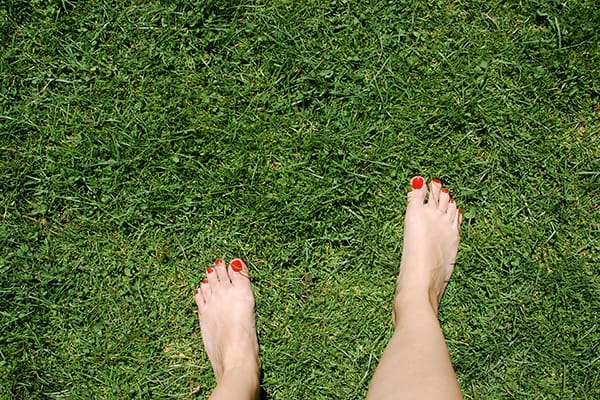 Feet with toenails painted red against grass