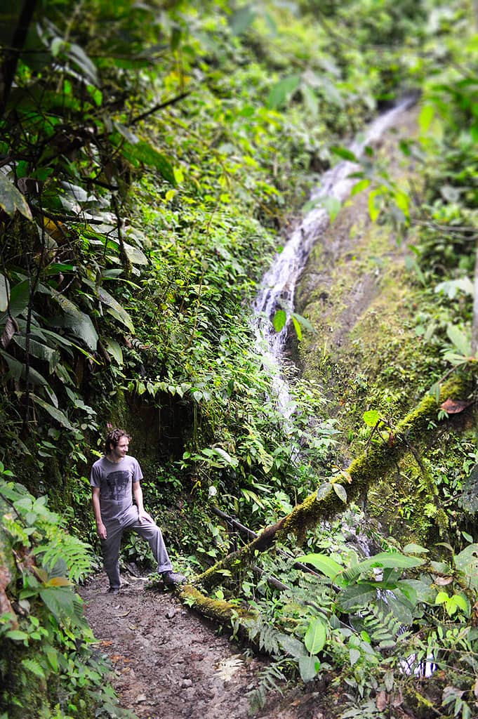 A man stands at the base of a small waterfall in a lush green Ecuadorian forest