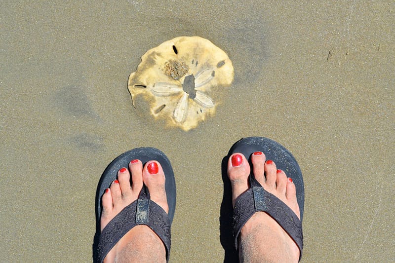 Two feet with red painted toenails on a beach in front of a partially-buried sand dollar