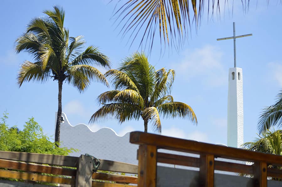 Palm trees, blue sky, and a church steeple with an iron cross in The Galapagos